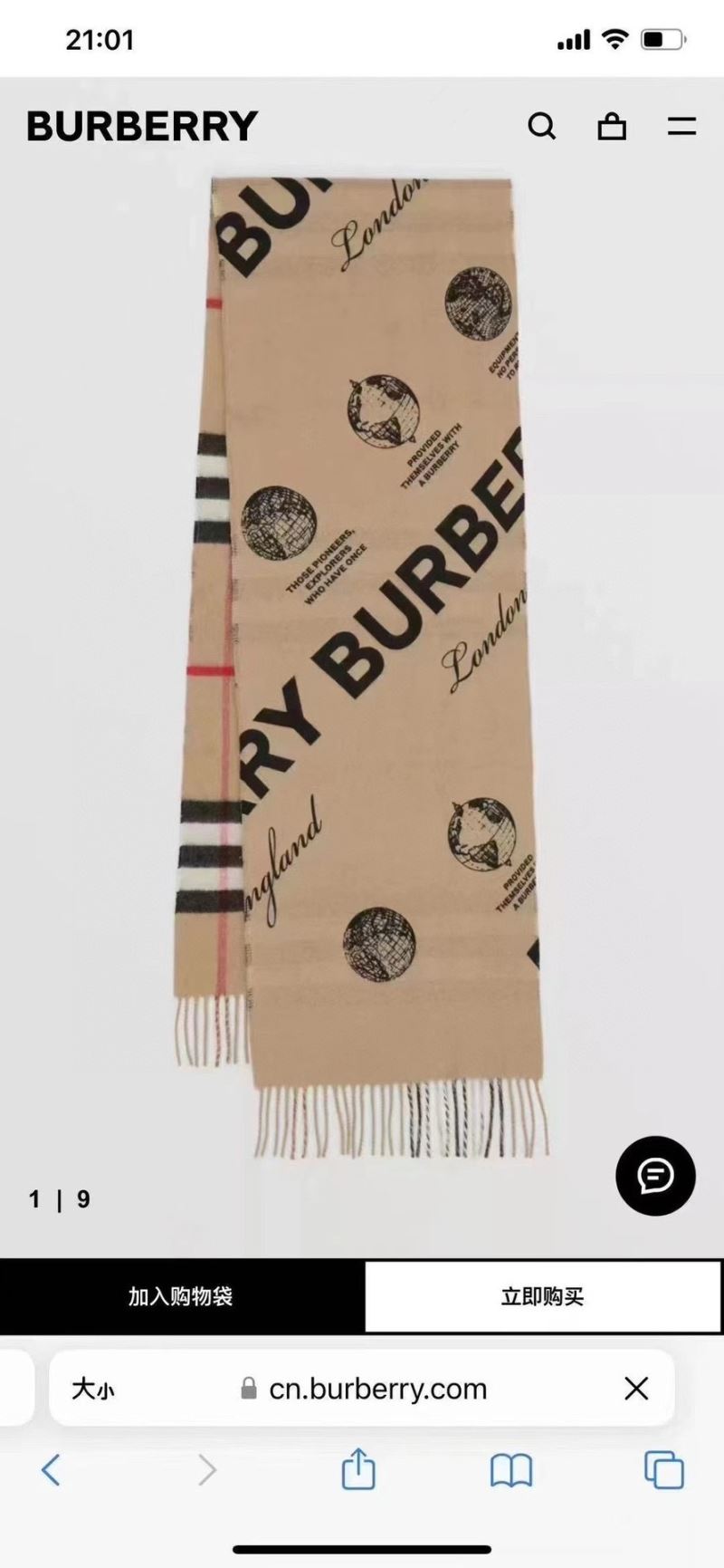 Burberry Scarf